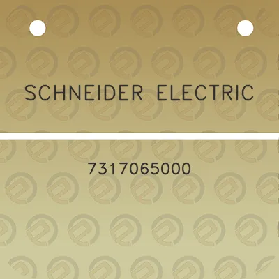 schneider-electric-7317065000