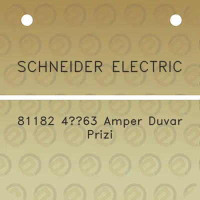 schneider-electric-81182-463-amper-duvar-prizi