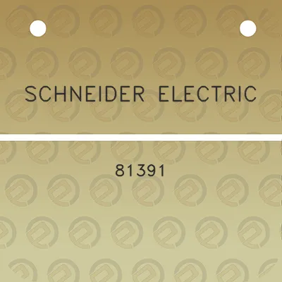 schneider-electric-81391