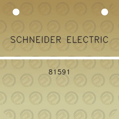 schneider-electric-81591