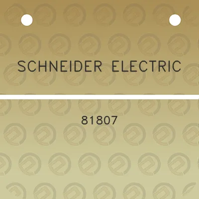 schneider-electric-81807