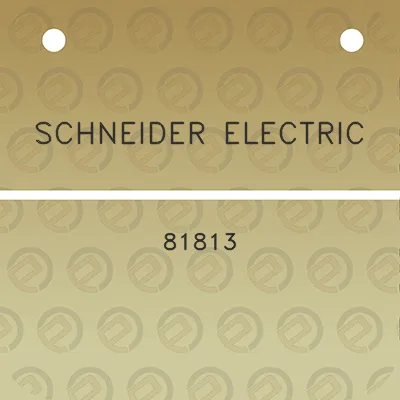 schneider-electric-81813