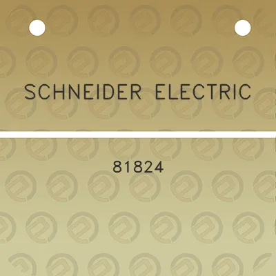 schneider-electric-81824