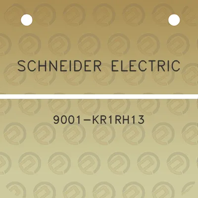 schneider-electric-9001-kr1rh13