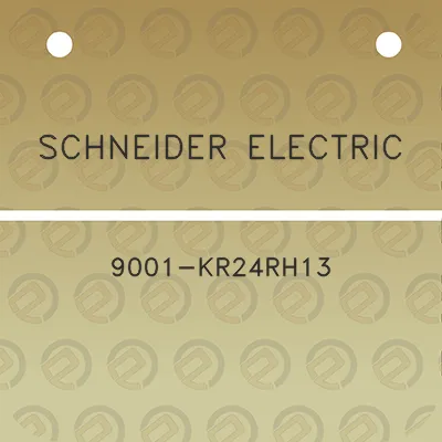 schneider-electric-9001-kr24rh13