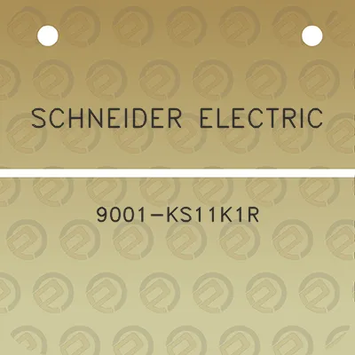 schneider-electric-9001-ks11k1r