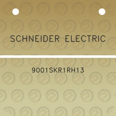 schneider-electric-9001skr1rh13