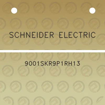 schneider-electric-9001skr9p1rh13