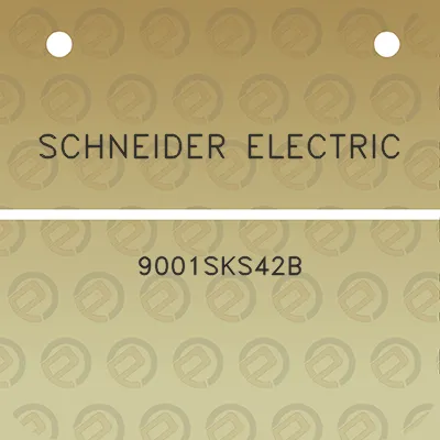 schneider-electric-9001sks42b