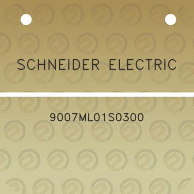 schneider-electric-9007ml01s0300