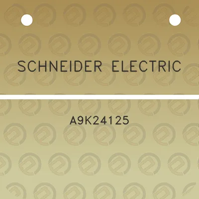 schneider-electric-a9k24125