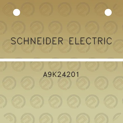 schneider-electric-a9k24201