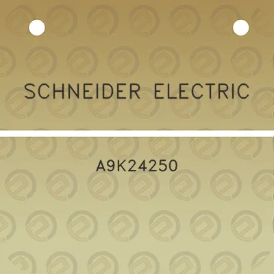 schneider-electric-a9k24250