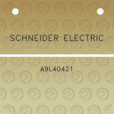 schneider-electric-a9l40421