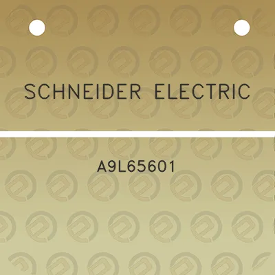 schneider-electric-a9l65601