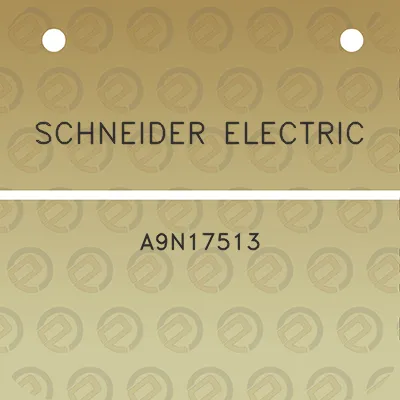 schneider-electric-a9n17513