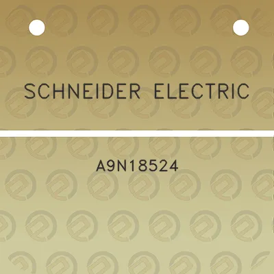 schneider-electric-a9n18524