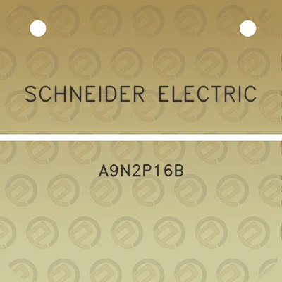 schneider-electric-a9n2p16b