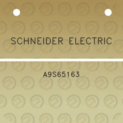 schneider-electric-a9s65163