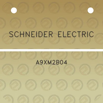 schneider-electric-a9xm2b04