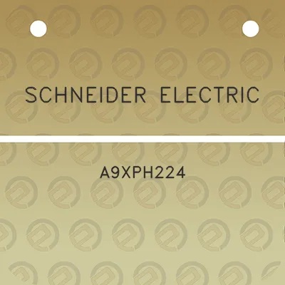 schneider-electric-a9xph224