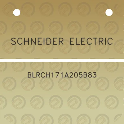 schneider-electric-blrch171a205b83