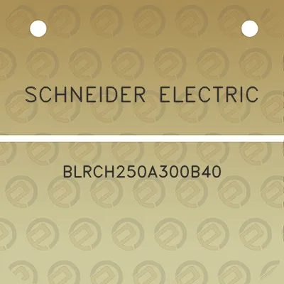 schneider-electric-blrch250a300b40