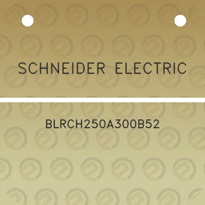 schneider-electric-blrch250a300b52