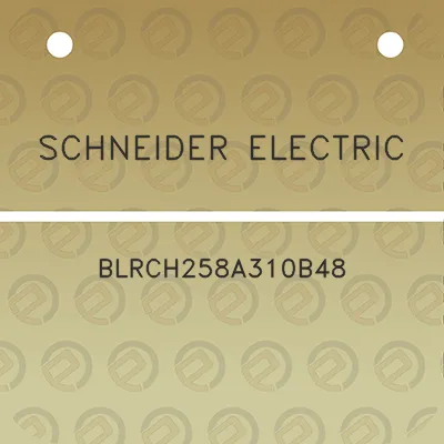 schneider-electric-blrch258a310b48