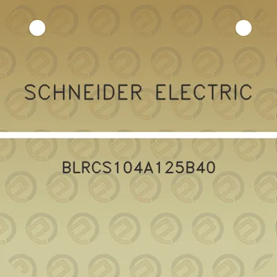 schneider-electric-blrcs104a125b40