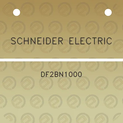 schneider-electric-df2bn1000