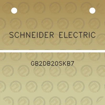 schneider-electric-gb2db20skb7