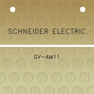 schneider-electric-gv-am11