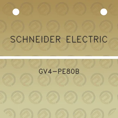 schneider-electric-gv4-pe80b