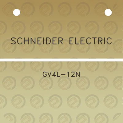 schneider-electric-gv4l-12n