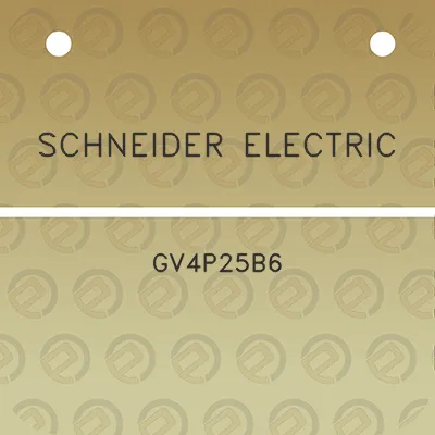 schneider-electric-gv4p25b6