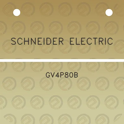 schneider-electric-gv4p80b