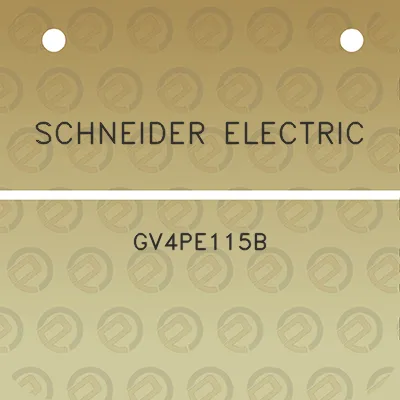 schneider-electric-gv4pe115b