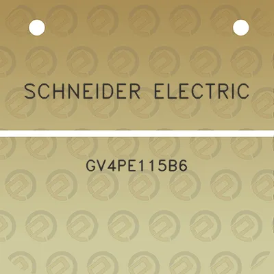 schneider-electric-gv4pe115b6