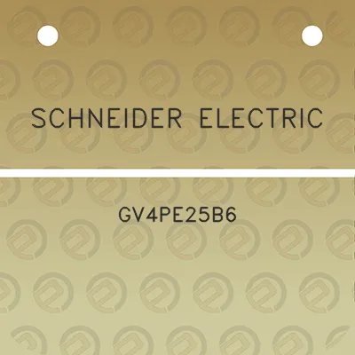 schneider-electric-gv4pe25b6