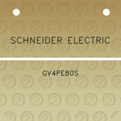 schneider-electric-gv4pe80s