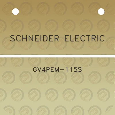 schneider-electric-gv4pem-115s