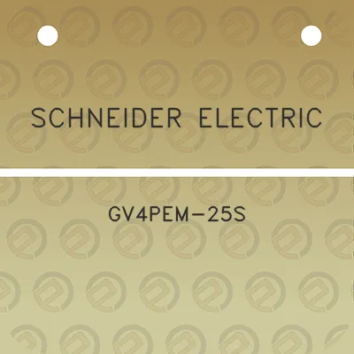 schneider-electric-gv4pem-25s