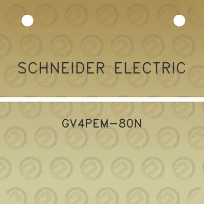 schneider-electric-gv4pem-80n