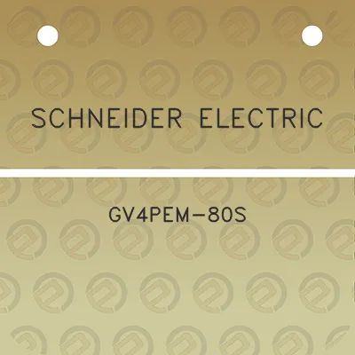 schneider-electric-gv4pem-80s