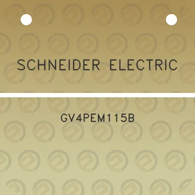 schneider-electric-gv4pem115b