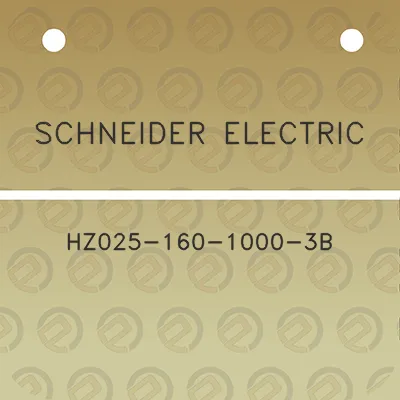 schneider-electric-hz025-160-1000-3b