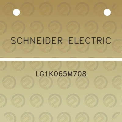 schneider-electric-lg1k065m708