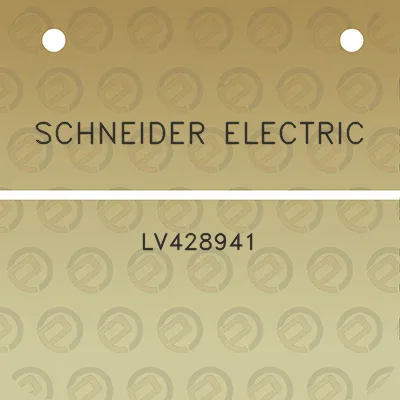 schneider-electric-lv428941