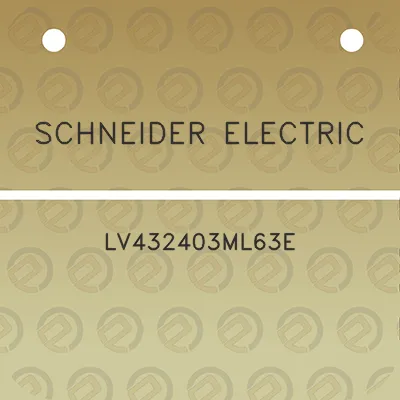 schneider-electric-lv432403ml63e